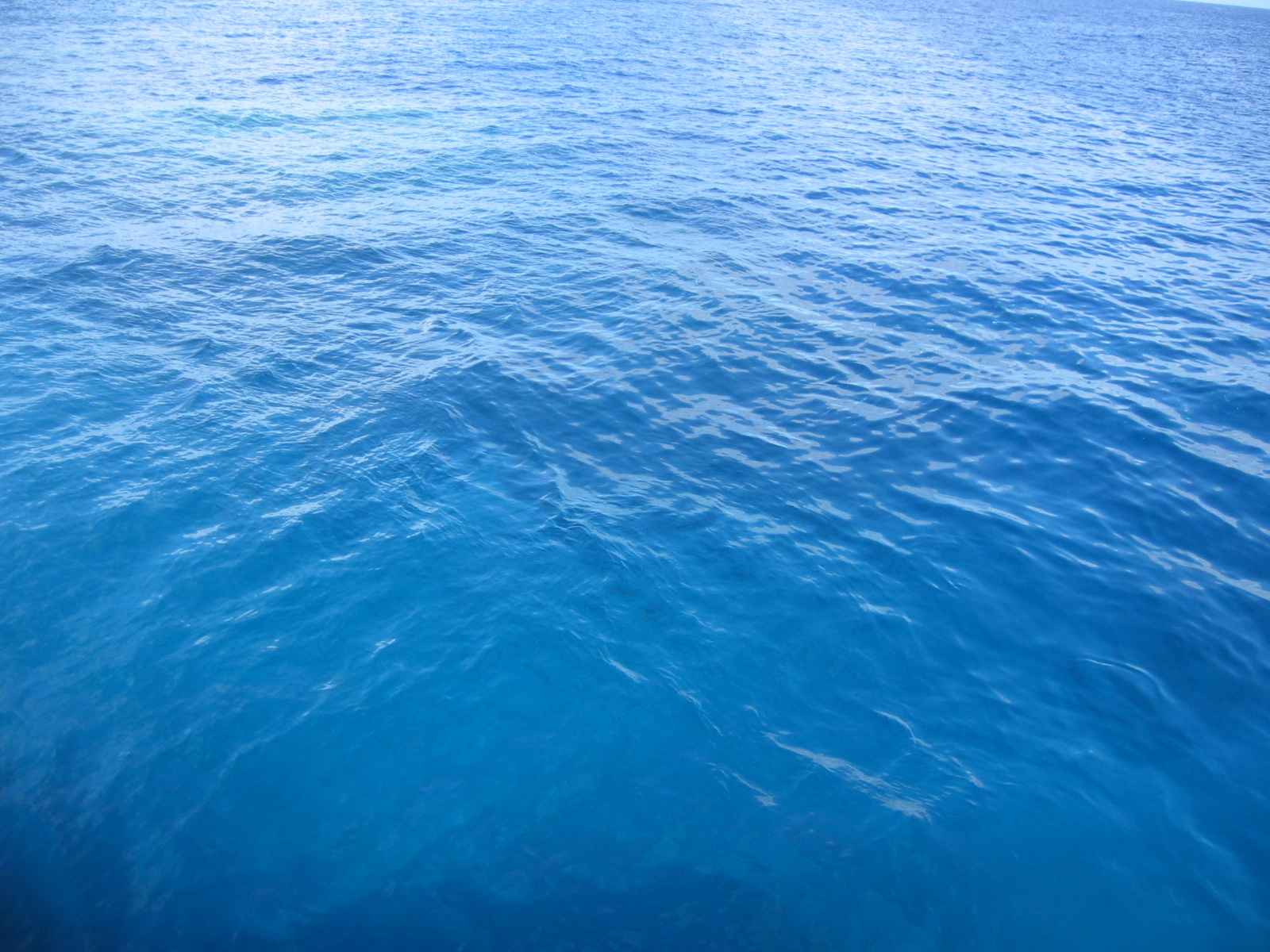 background img