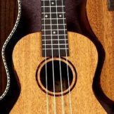 ukulele-54e2d54642_640